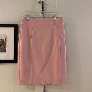 Elegant Pink Women's Skirt